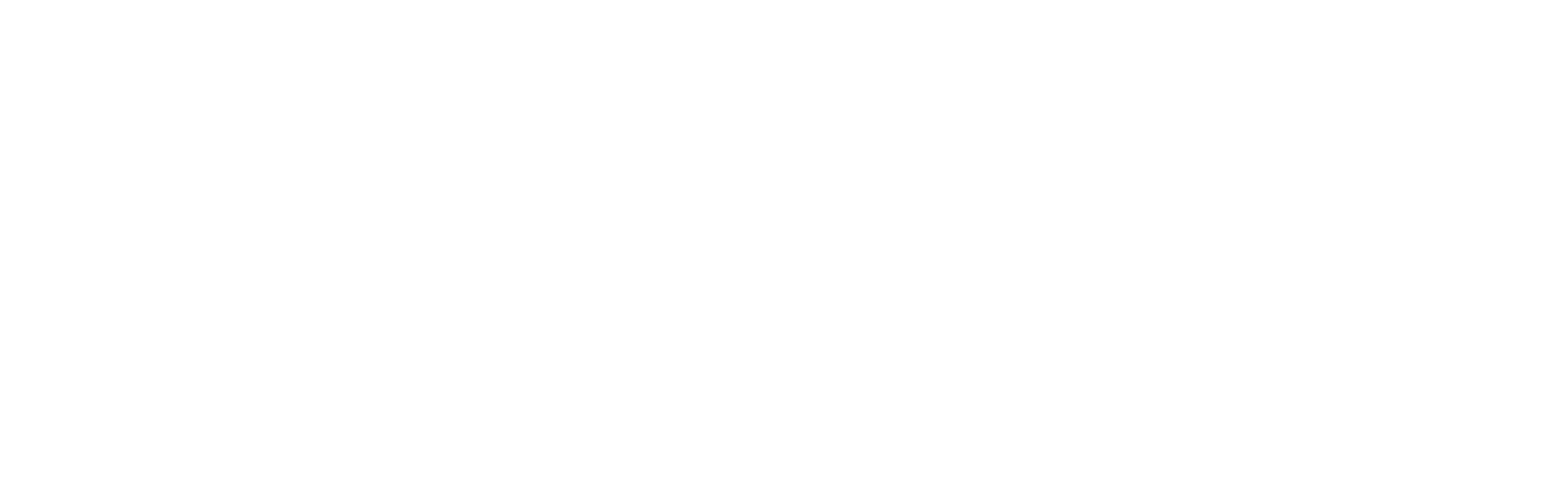 EveryYouth logo.