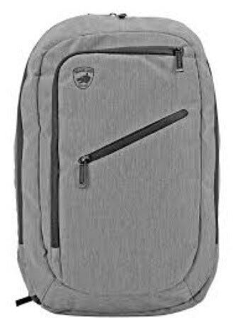 Gray Backpack