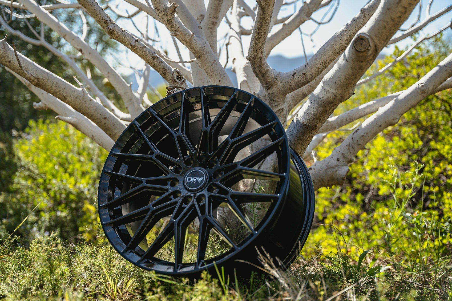 DRW Wheels detail image