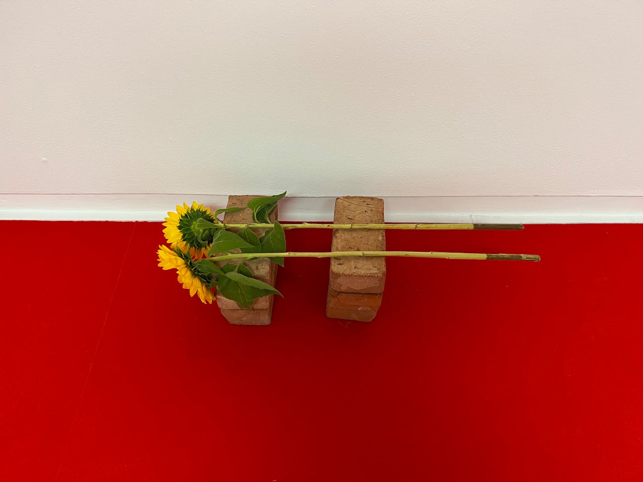 Ewa Dziarnowska — A Room With a Better View (Photo: Thiemi Higashi & HaWa / Grzegorz Habryń i Aneta Wawrzoła)