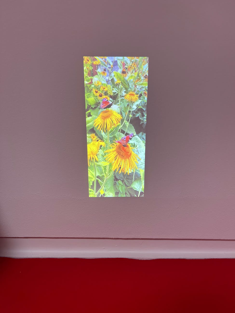 Ewa Dziarnowska — A Room With a Better View (Photo: Thiemi Higashi & HaWa / Grzegorz Habryń i Aneta Wawrzoła)