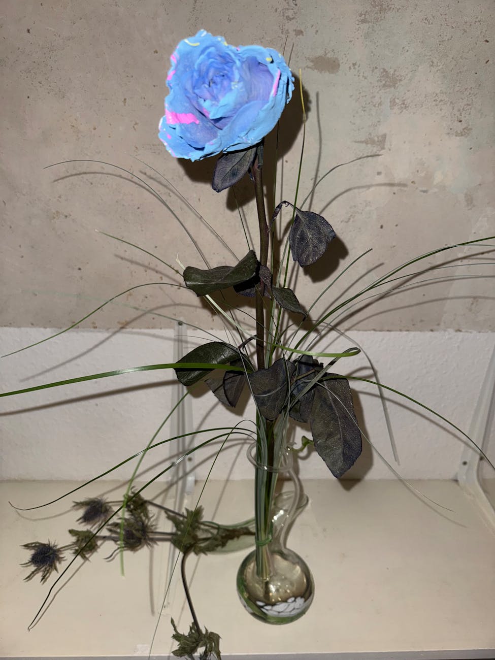 Ewa Dziarnowska — This resting, patience (Étude) (Photo: ink Agop, © Creamcake)