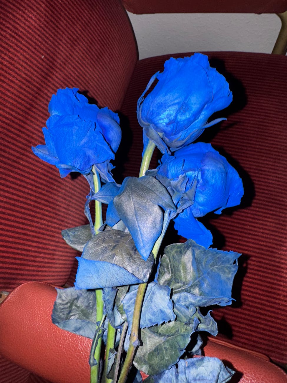 Ewa Dziarnowska — This resting, patience (Étude) (Photo: ink Agop, © Creamcake)