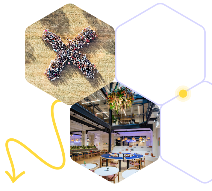 Deux photos : l'une représentant le X d'exalt formé par des gens vue du ciel, l'autre la cafétéria d'exalt.