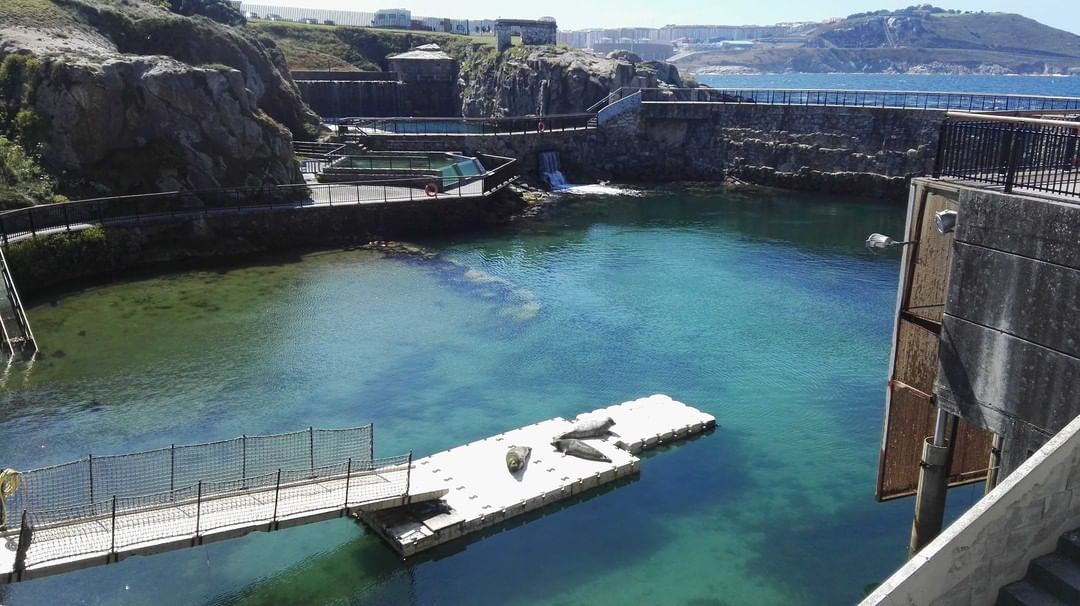 Aquarium Finisterrae