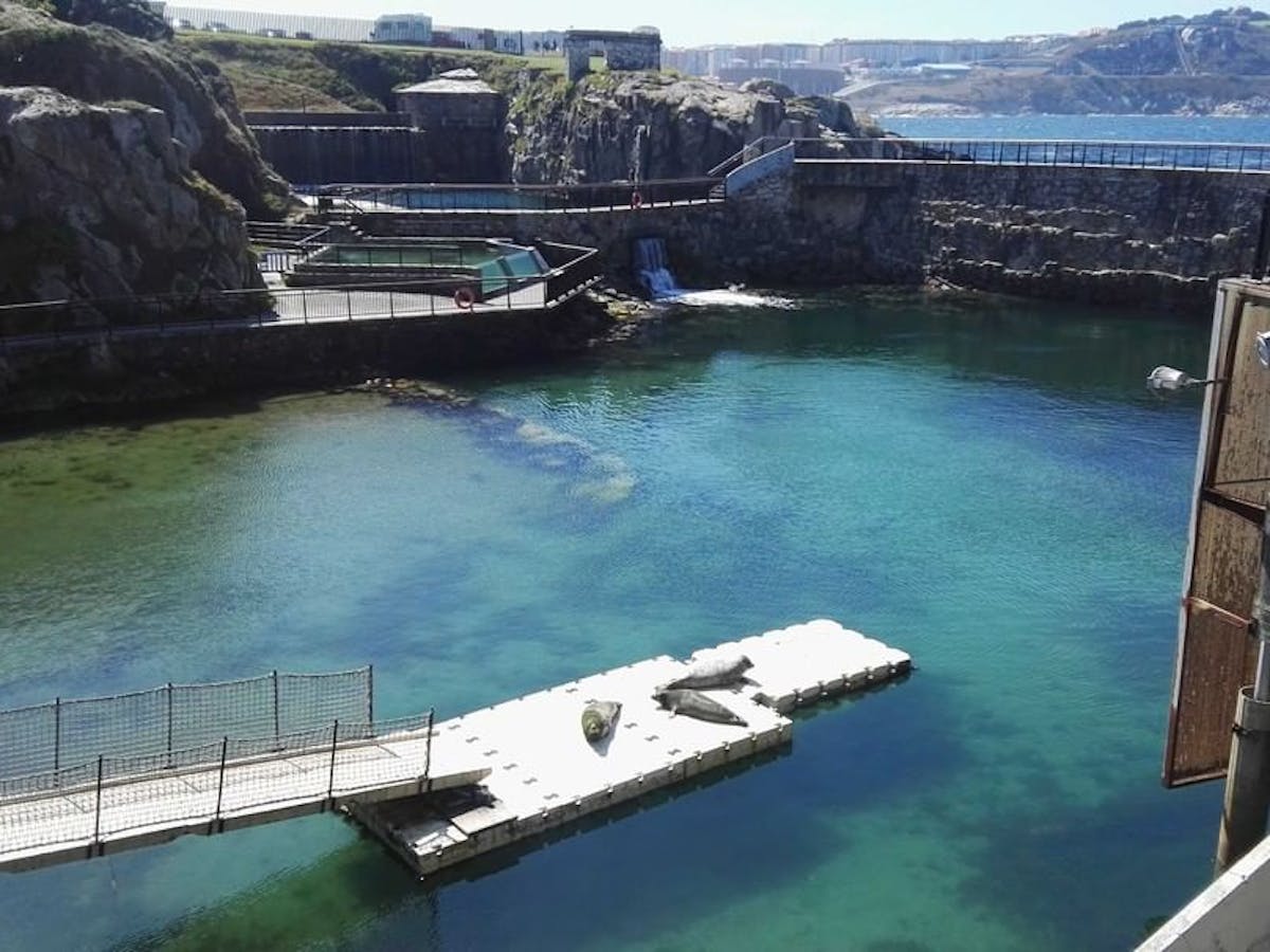 Aquarium Finisterrae