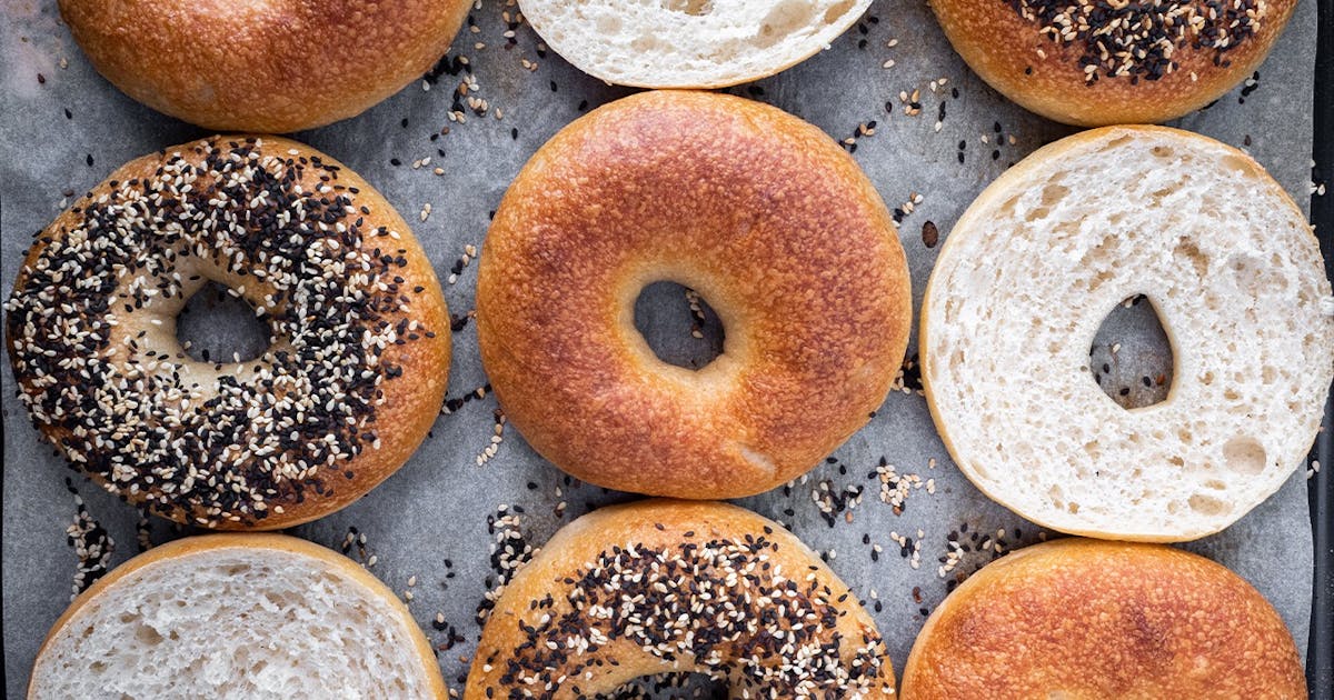 Court Street Bagels Exceptional ALIEN Court Street Bagels Exceptional ALIEN