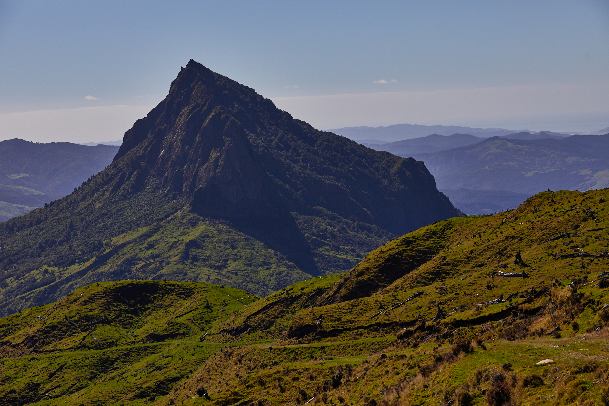 Maunga / Mount Hikurangi | Exceptional ALIEN