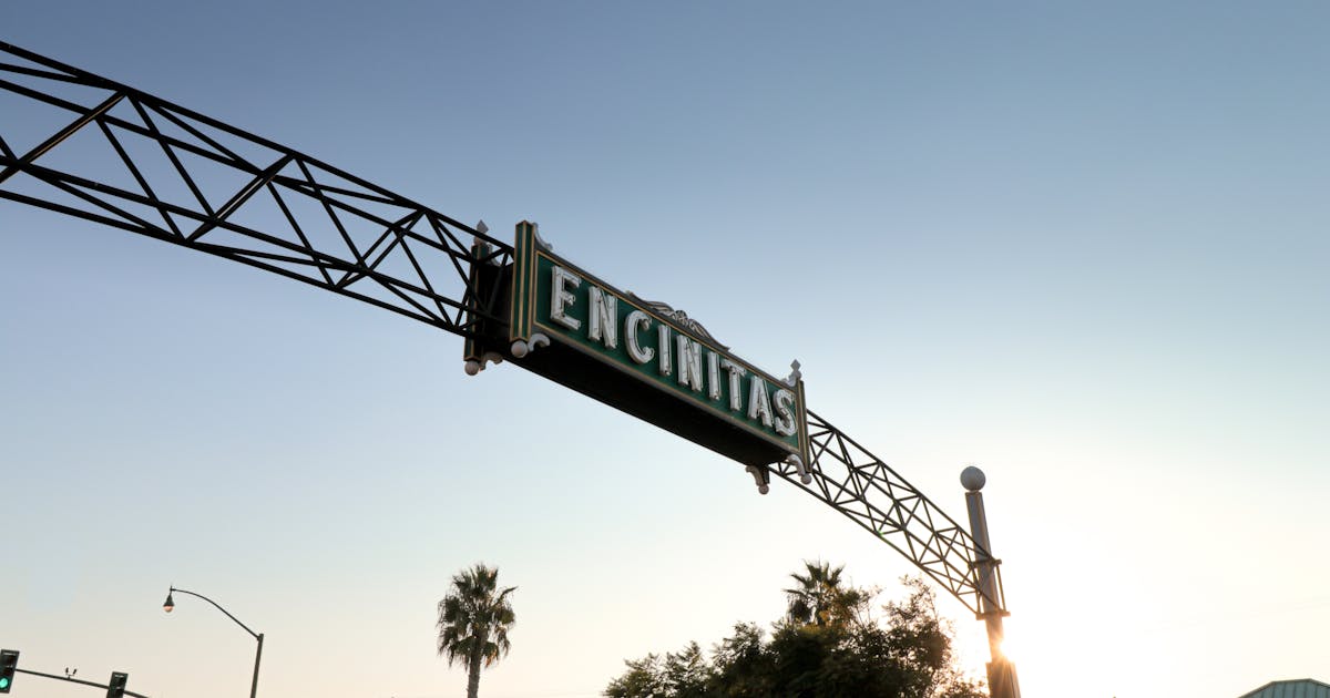 South Coast Highway 101 Exceptional ALIEN