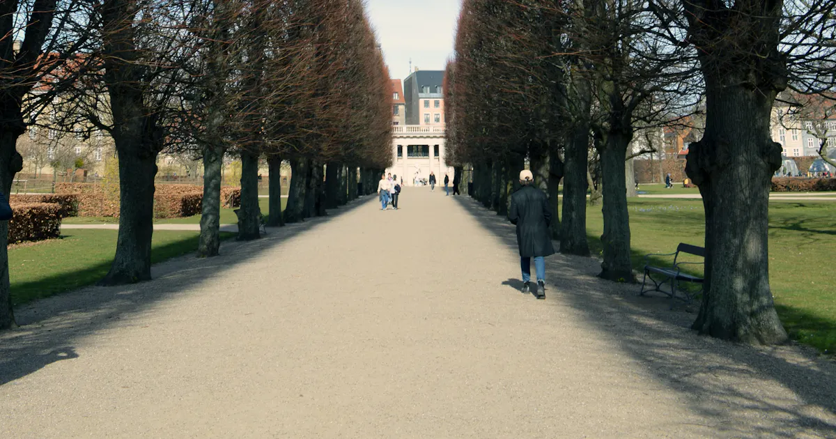 Kongens Have Exceptional ALIEN kongens-have-exceptional-alien
