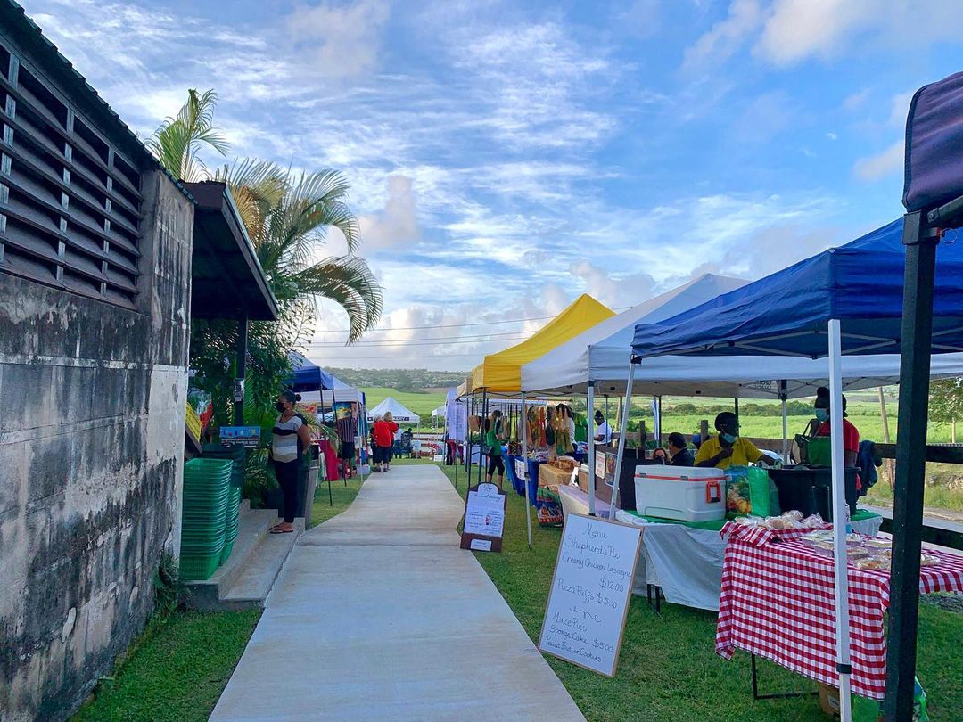 Brighton Farmers Market Exceptional ALIEN