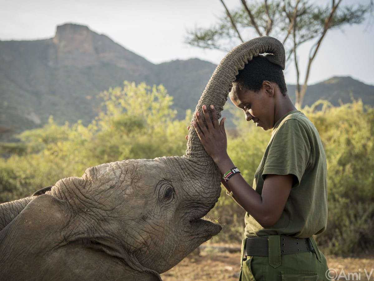 Reteti Elephant Sanctuary