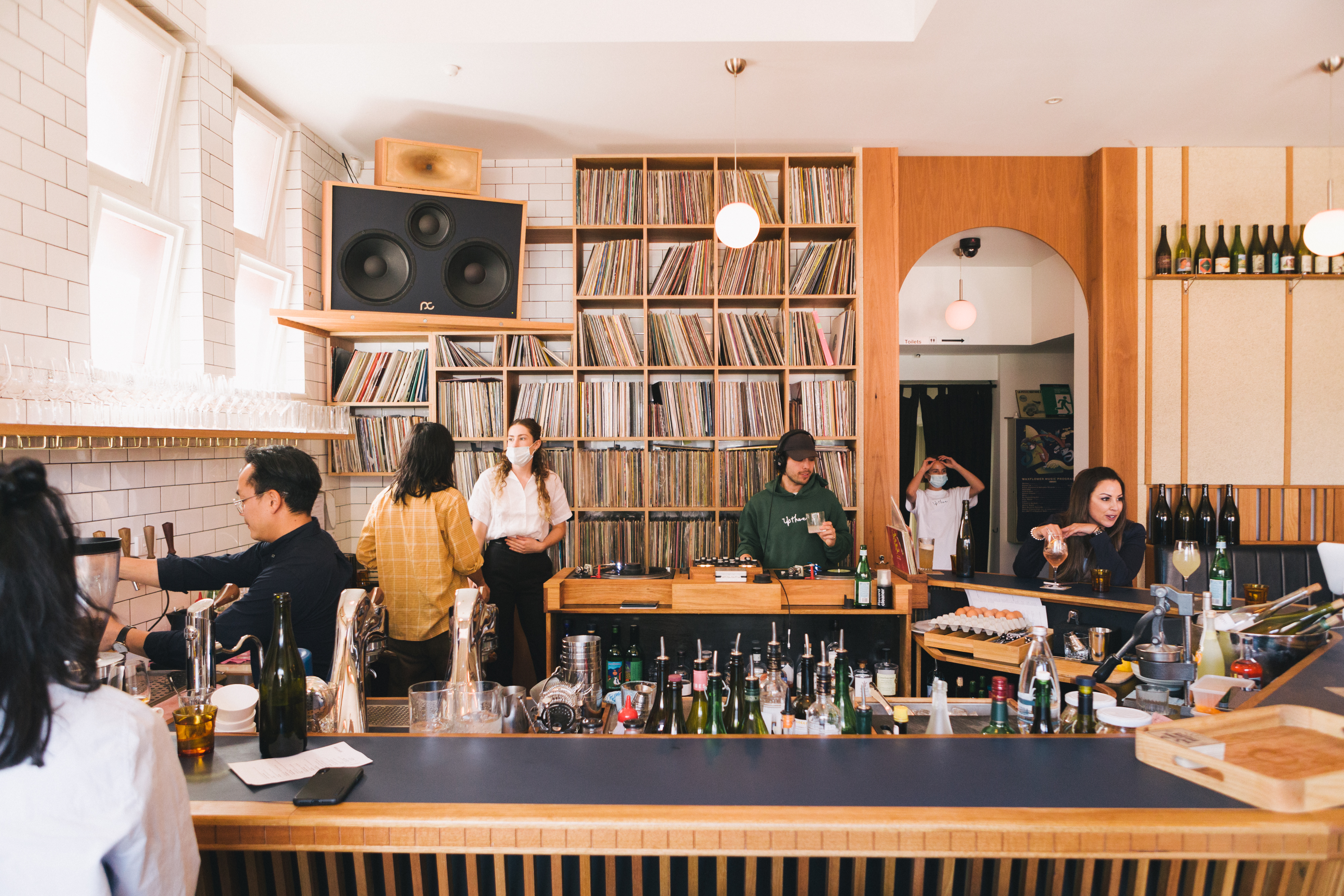 waxflower-exceptional-alien