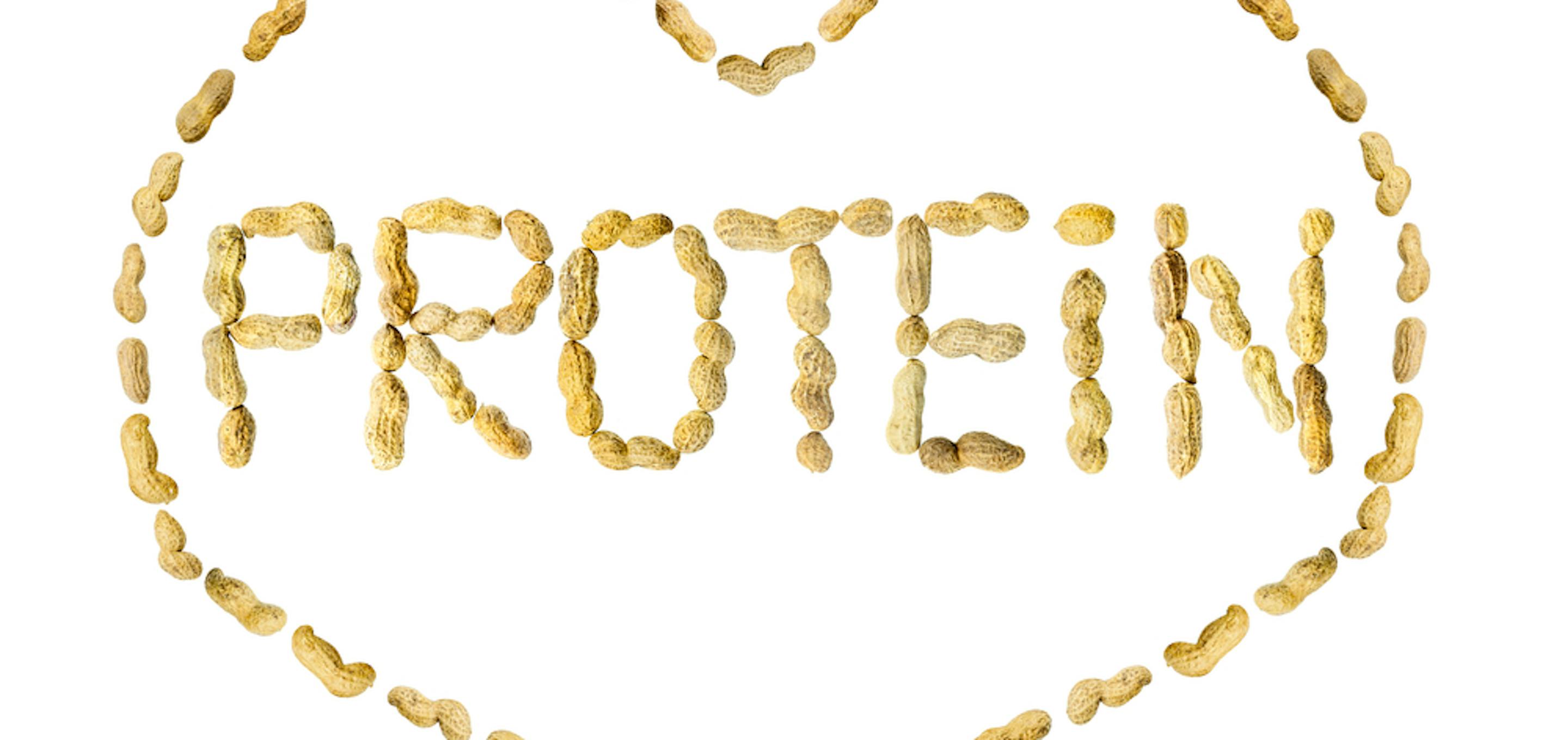 The word Protein created by an arrangement of peanuts