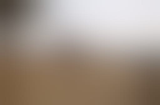 Town & Country Advertorial 2 (2025)