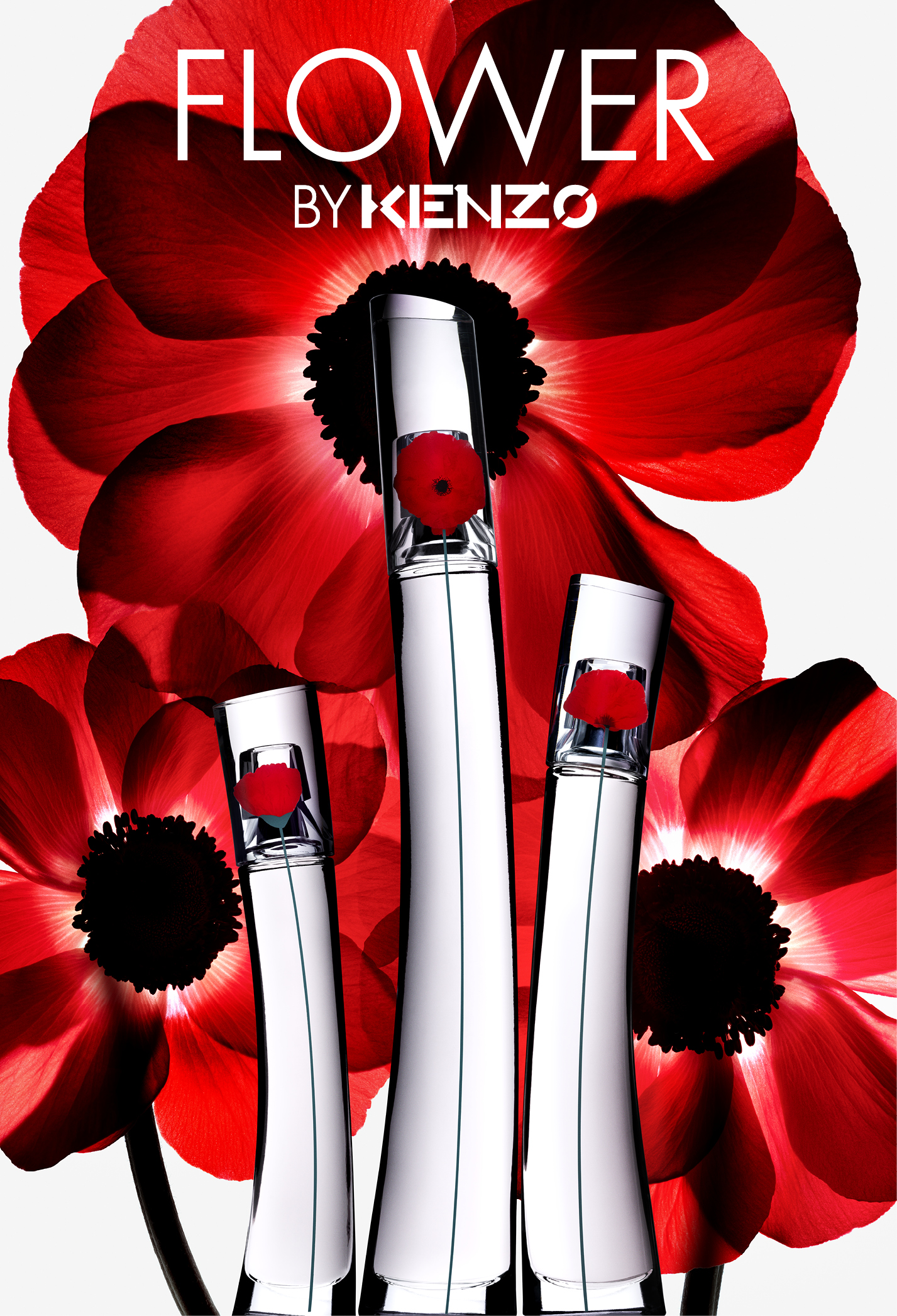 Flower Oriental Kenzo - KENZO Flower By Kenzo on Behance