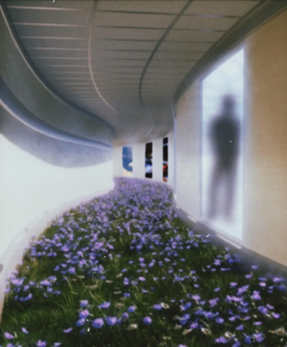 Dreamcore aestetic often involves wildflowers and grass in liminal spaces.
