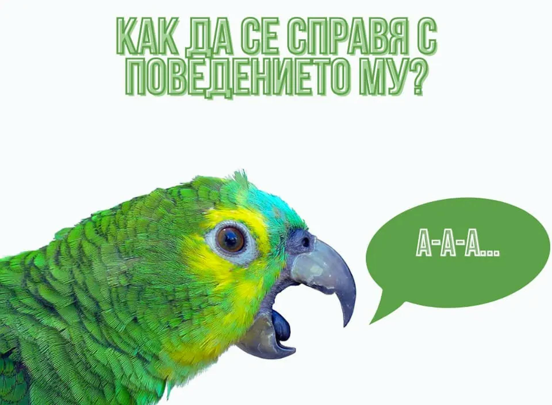 Папагал