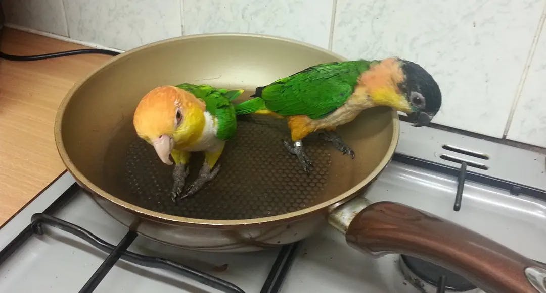 неразделки