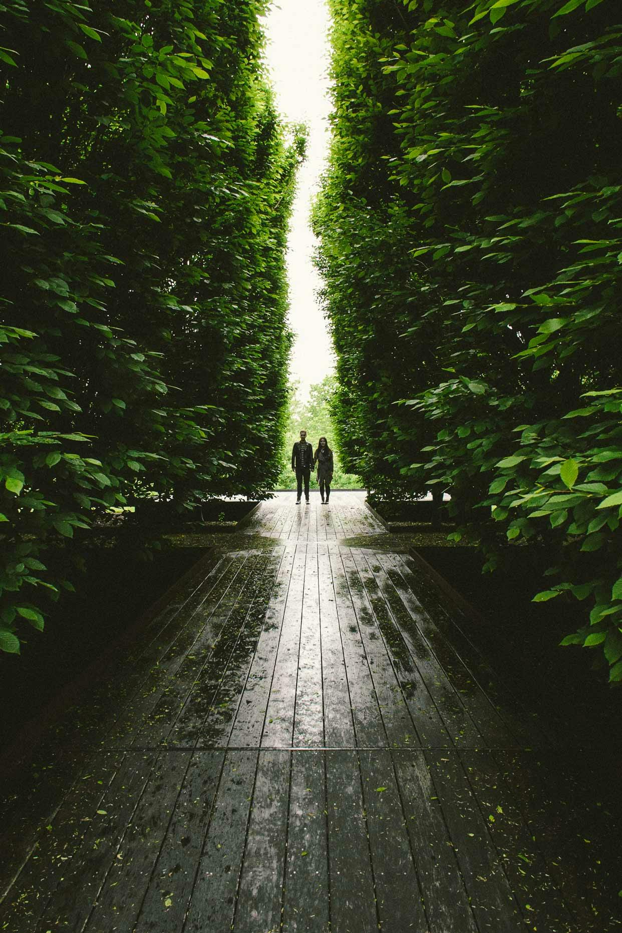 Robert Irwin's Hornbeam Gardens at Dia:Beacon