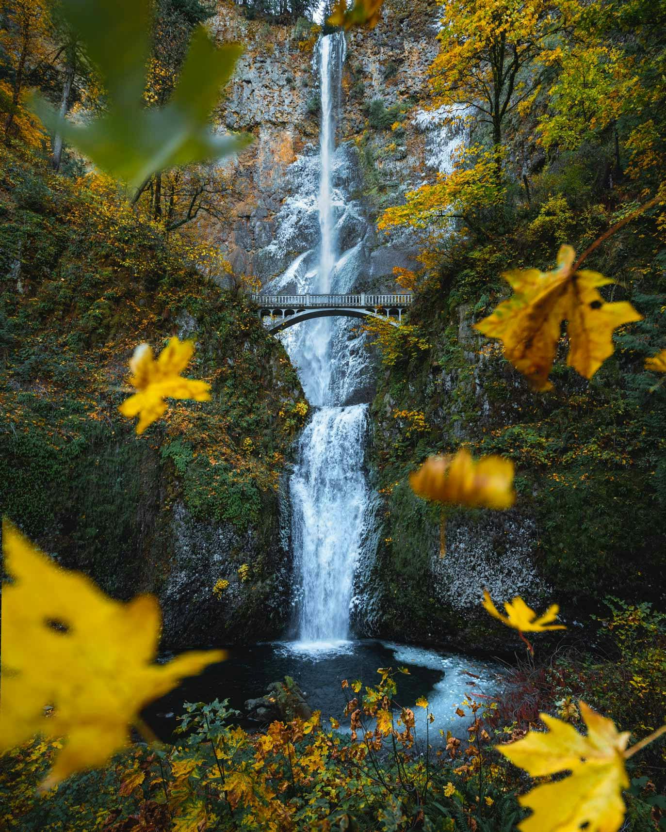 Lower Multnomah Falls Lookout view of Benson Bridge