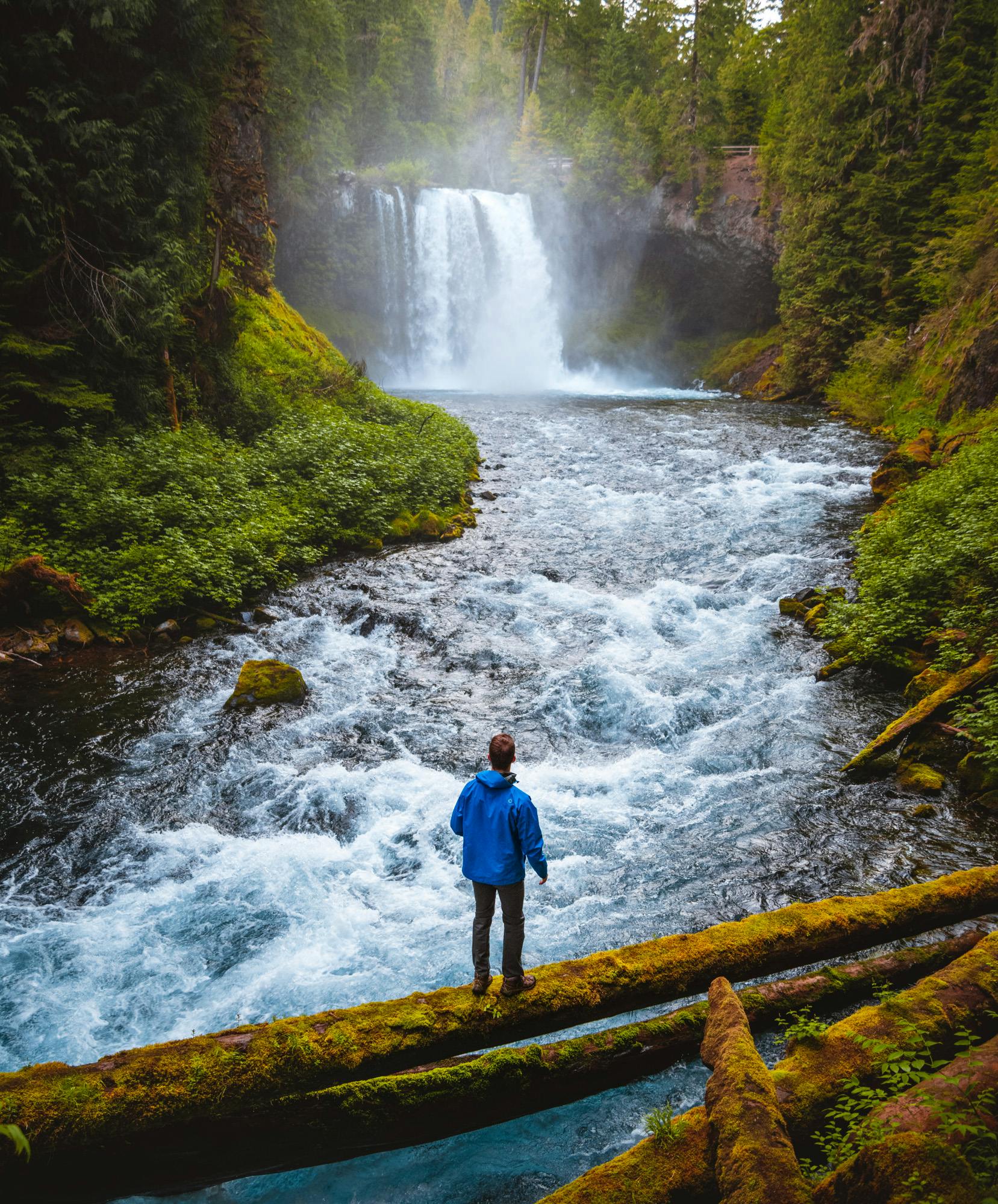 Camera: Nikon D750, Lens: Tamron 24-70mm f/2.8