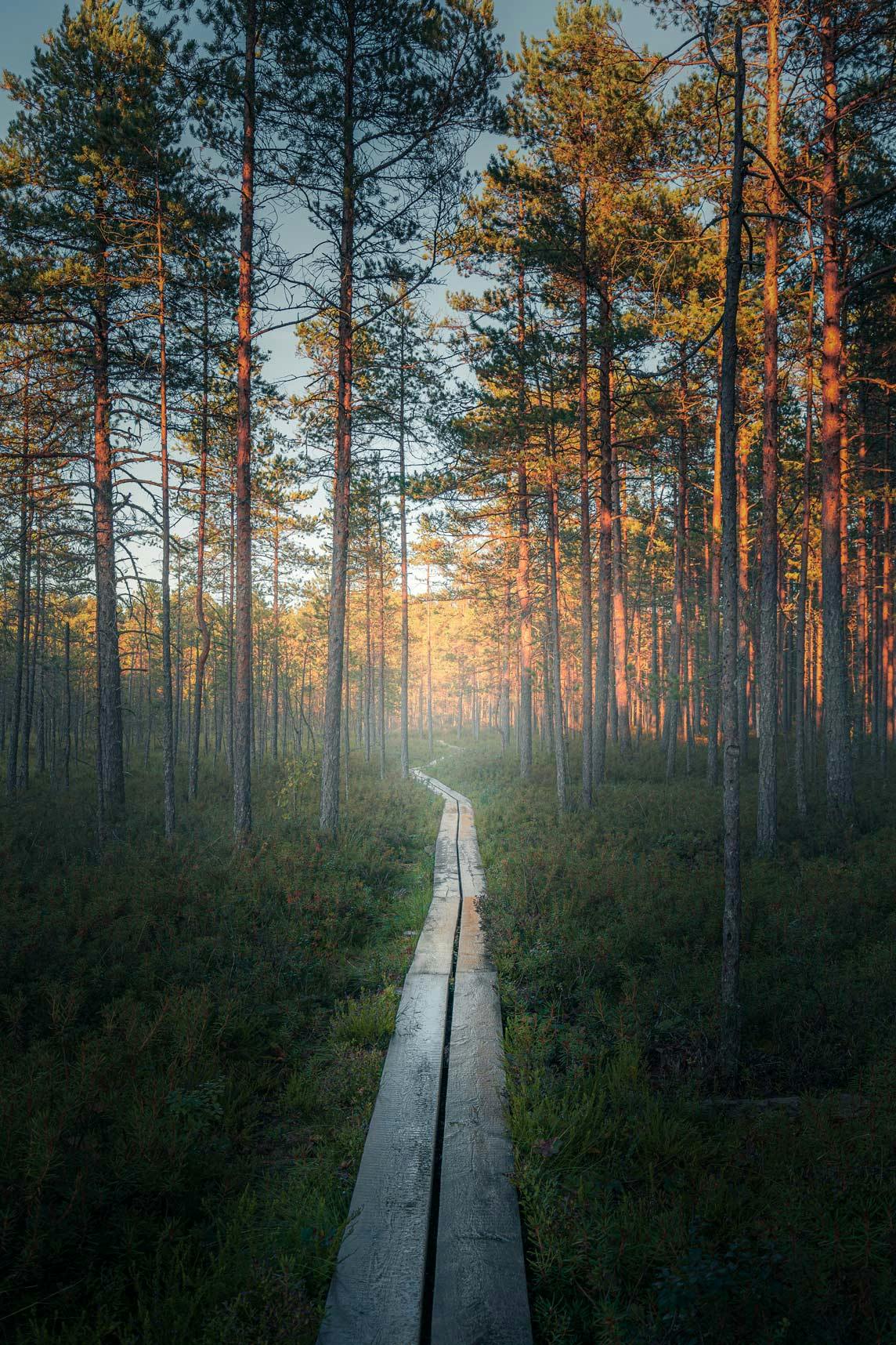 Western Oasis Run in Valkmusa National Park (Läntisen keitaan lenkki)