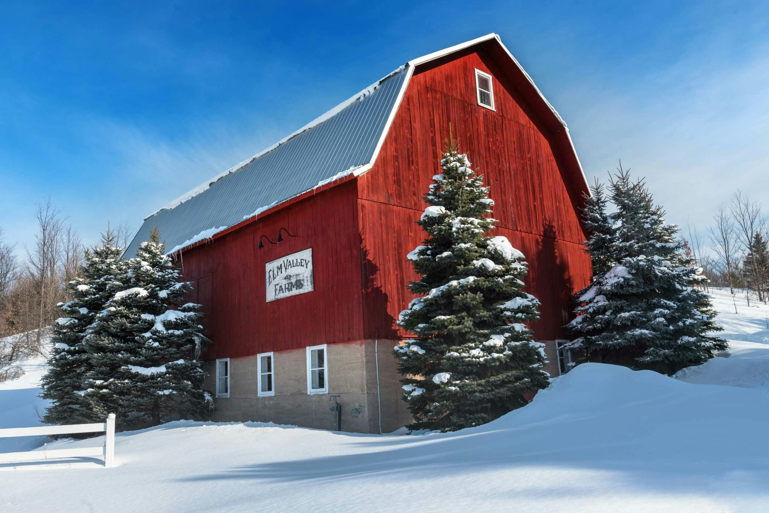 Elm Valley Farms Red Barn & Pine Trees