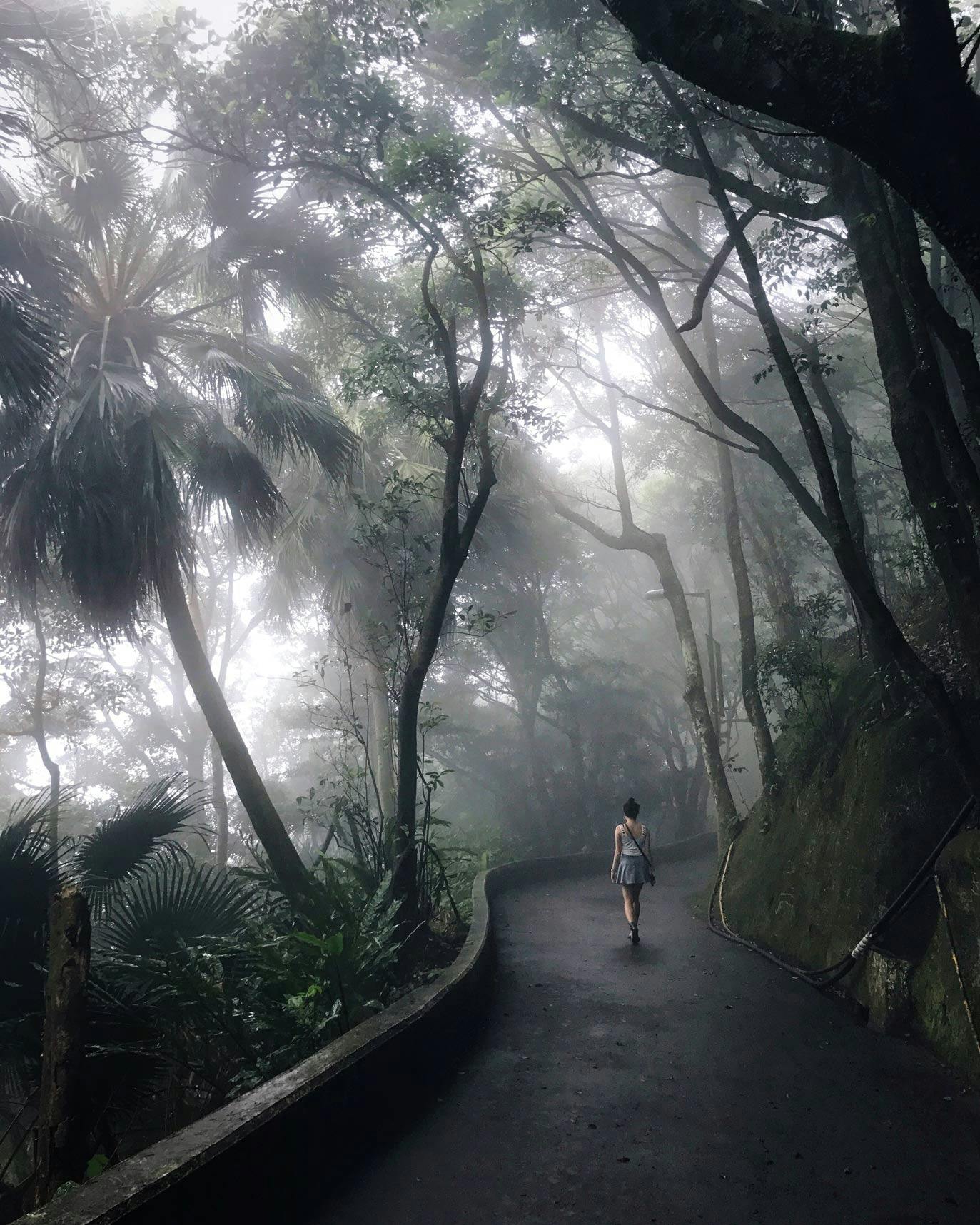 Findlay Road on The Peak