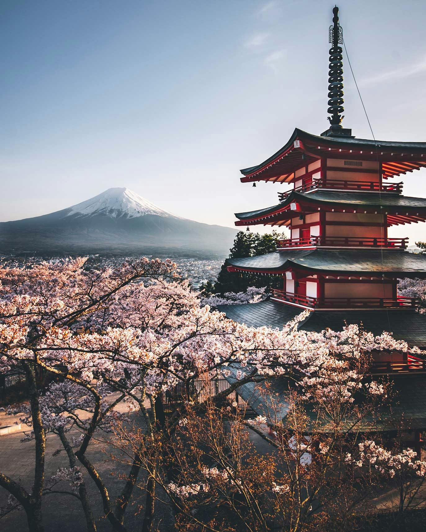 Chureito Pagoda, Mount Fuji and Cherry Blossoms