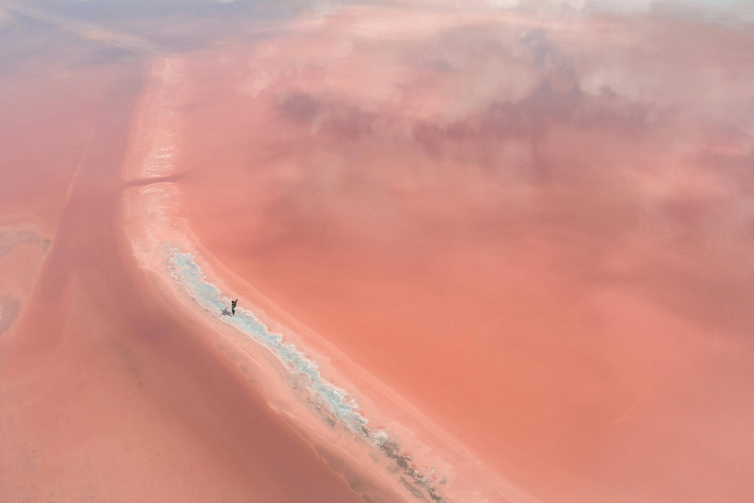 Pink Aigues-Mortes Salt Marsh