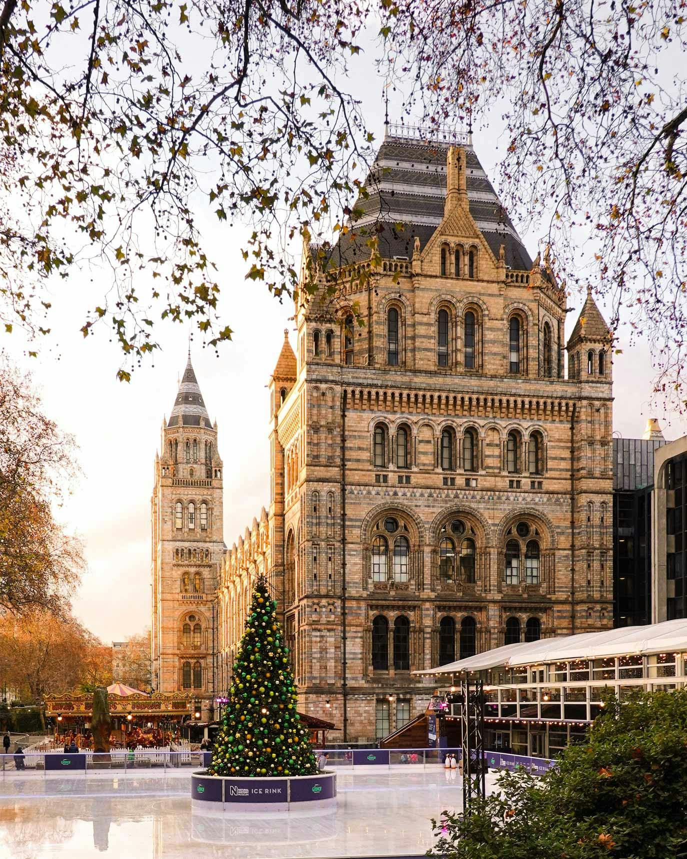 Natural History Museum Ice Rink & Christmas Tree
