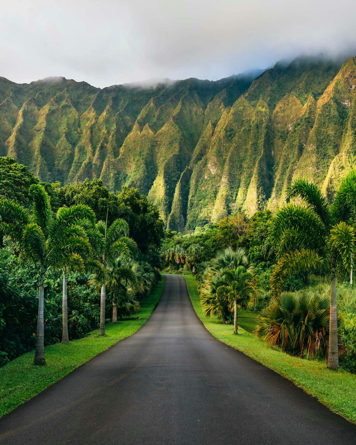 Park Access Road view of Ho'omaluhia Botanical Garden