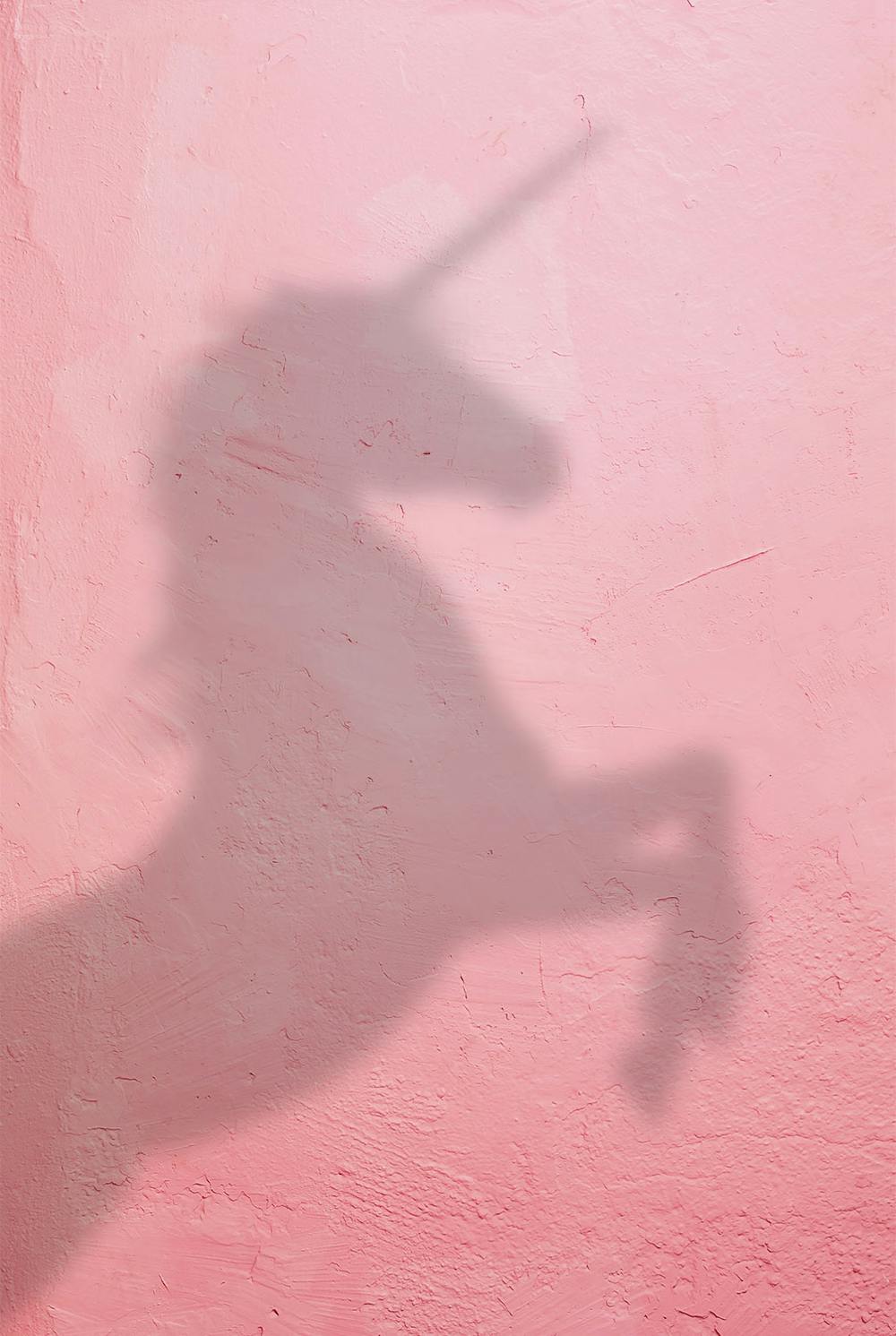 Matthias Hollerbach Matthias Hollerbach