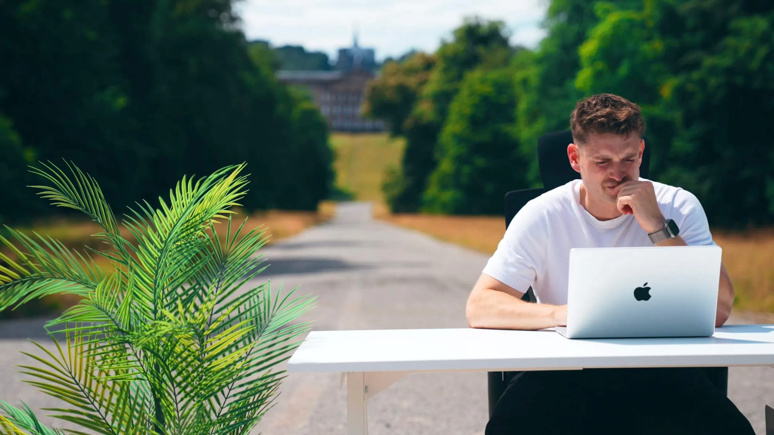 Webdesigner von Exportarts am Schlosspark Wilhelmshöhe am Herkules in Kassel