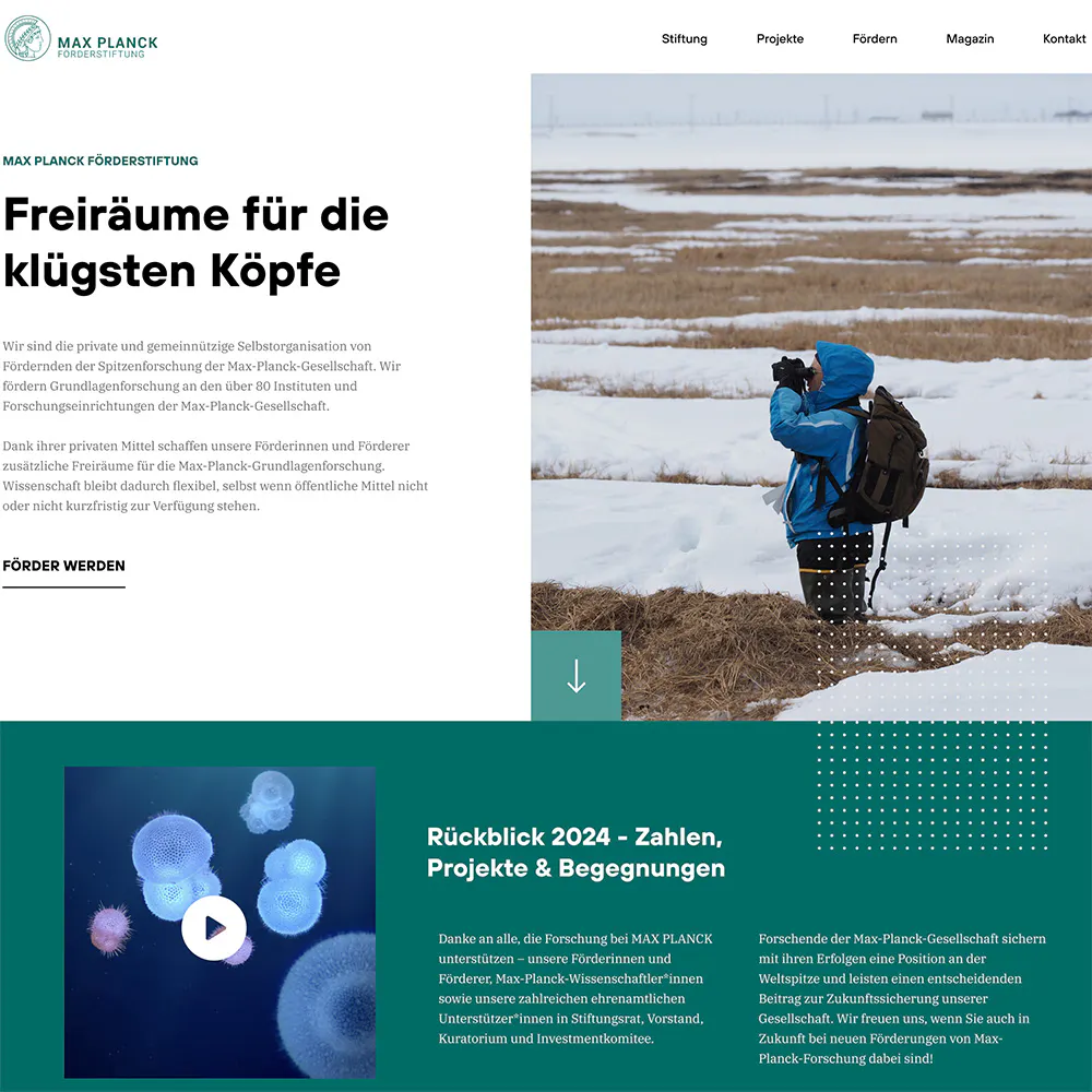Website der Max Planck Förderstiftung
