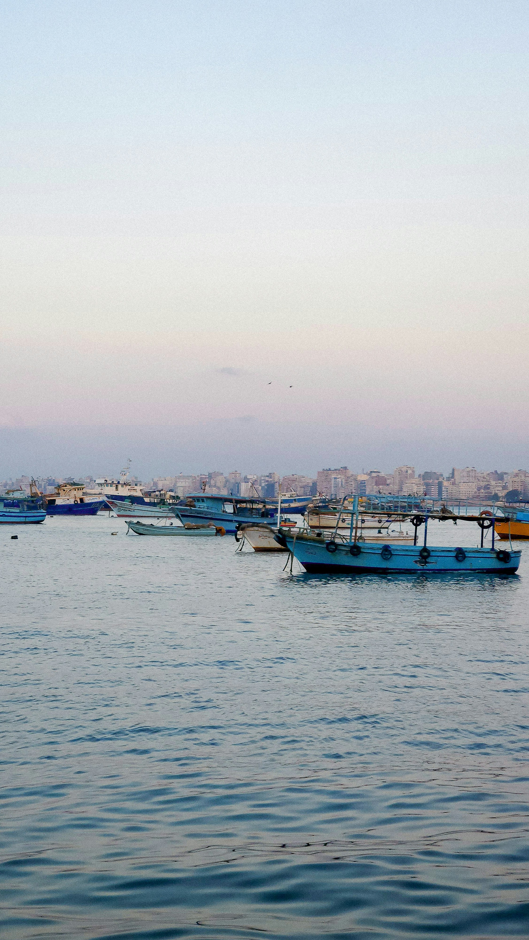 Traditional fishing boats moored in the harbor at dusk with Alexandria, Egypt skyline in background