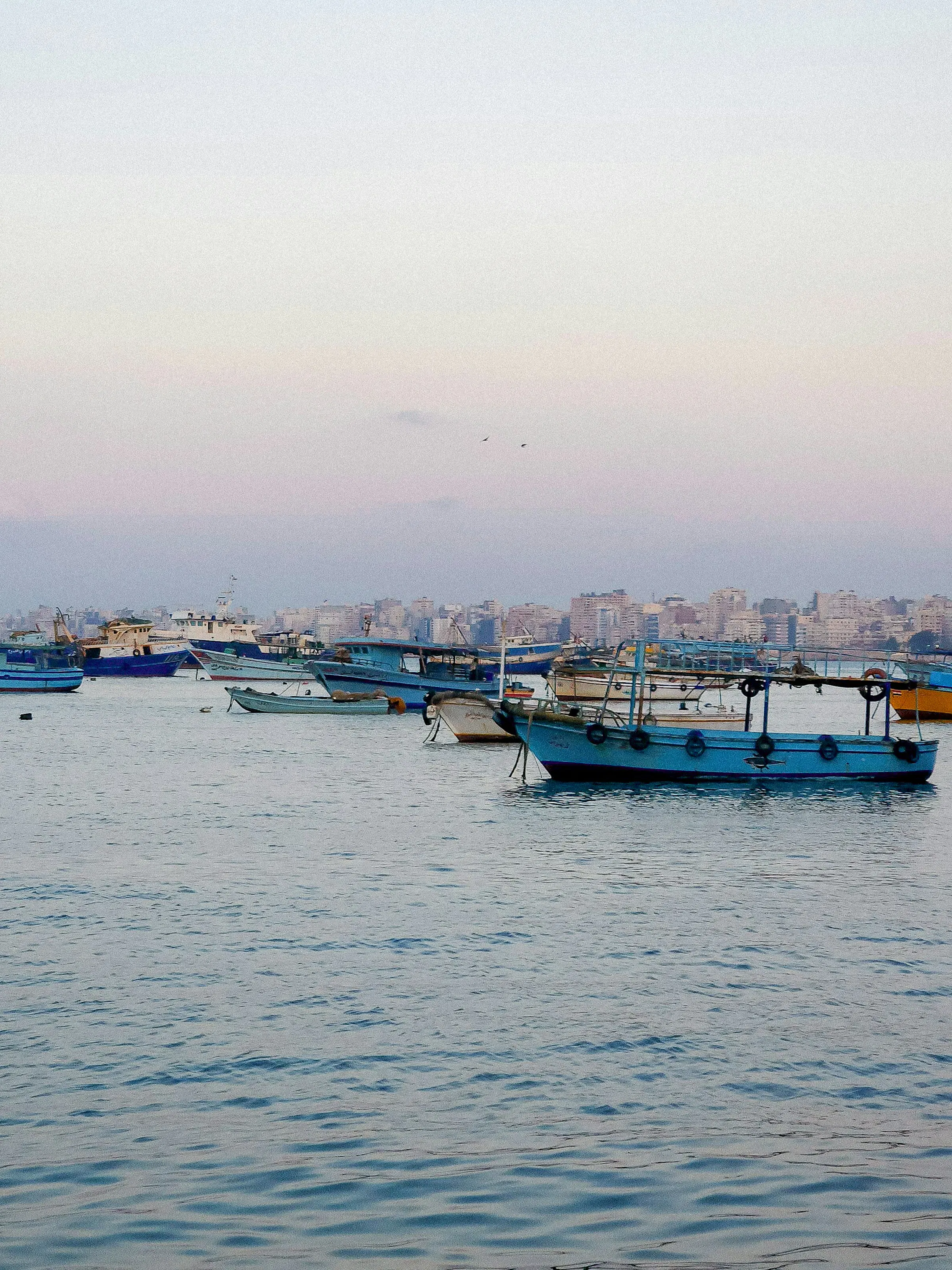 Traditional fishing boats moored in the harbor at dusk with Alexandria, Egypt skyline in background
