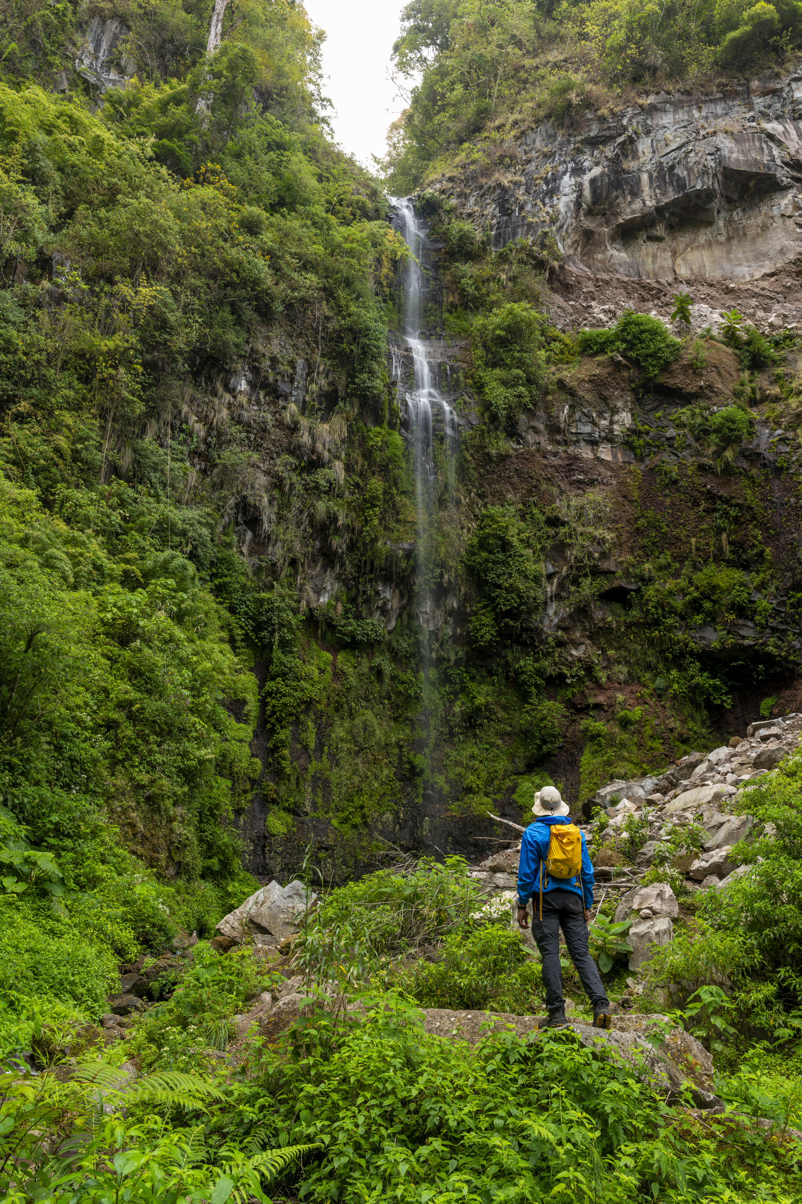 hiker on waterfall in rainforest
