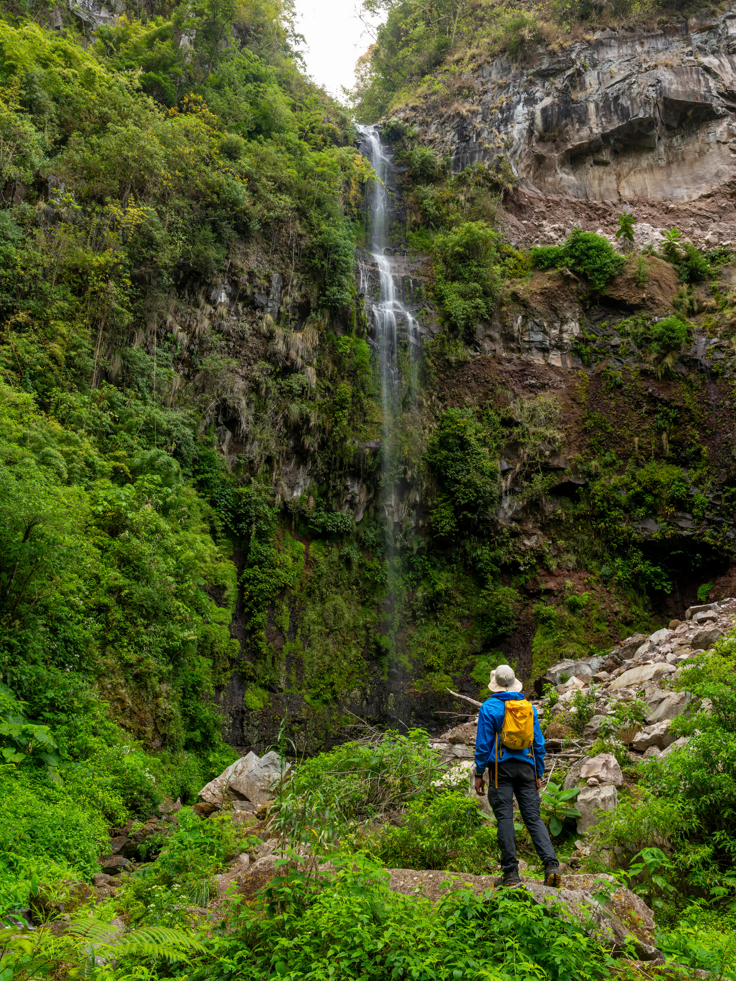 hiker on waterfall in rainforest