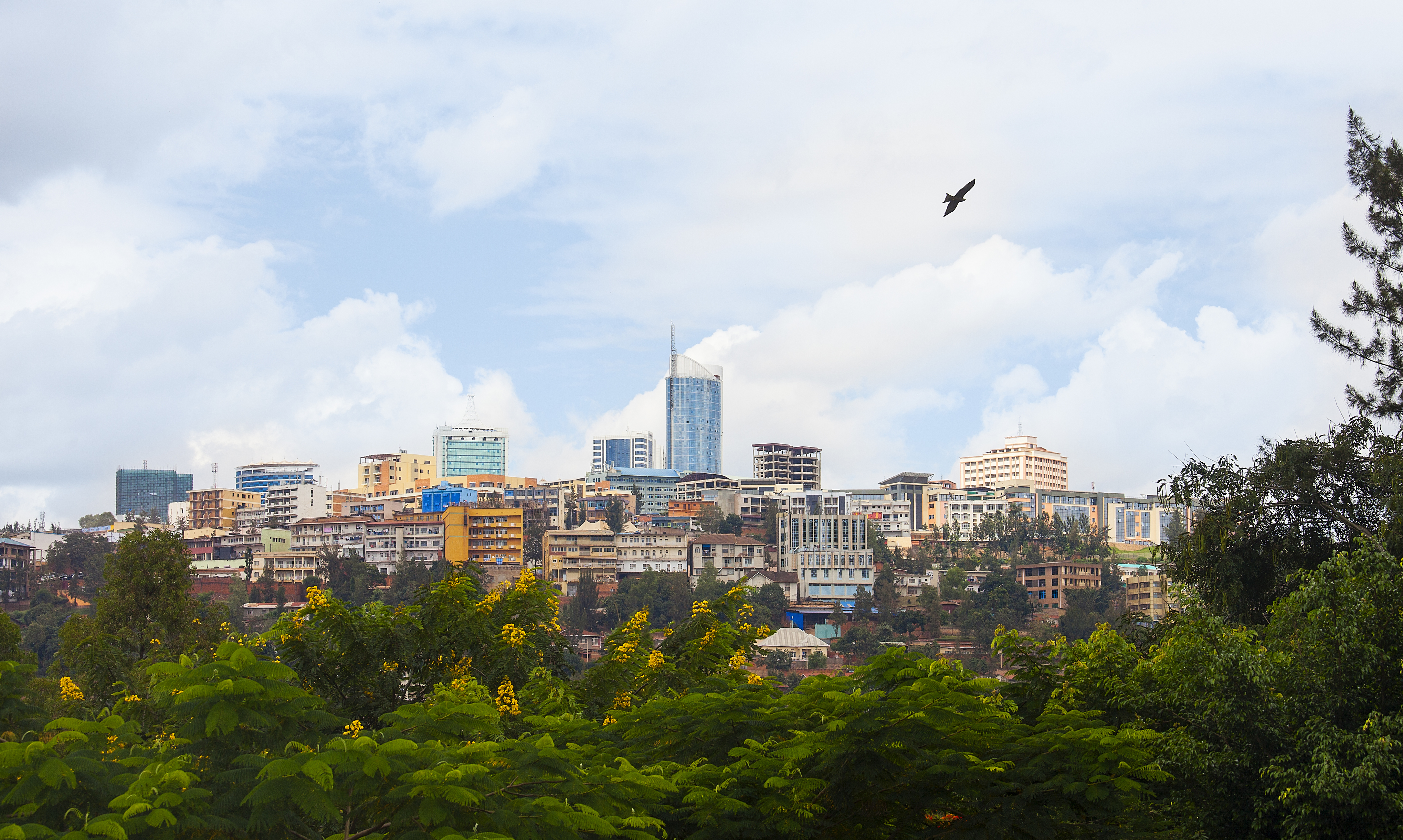 Kigali city skyline with modern high-rises and greenery, Rwanda