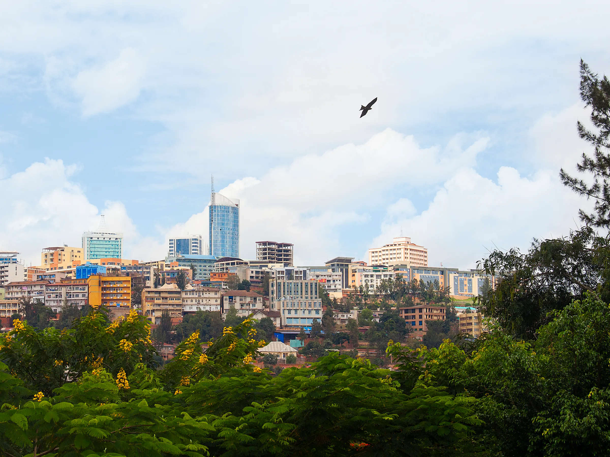 Kigali city skyline with modern high-rises and greenery, Rwanda
