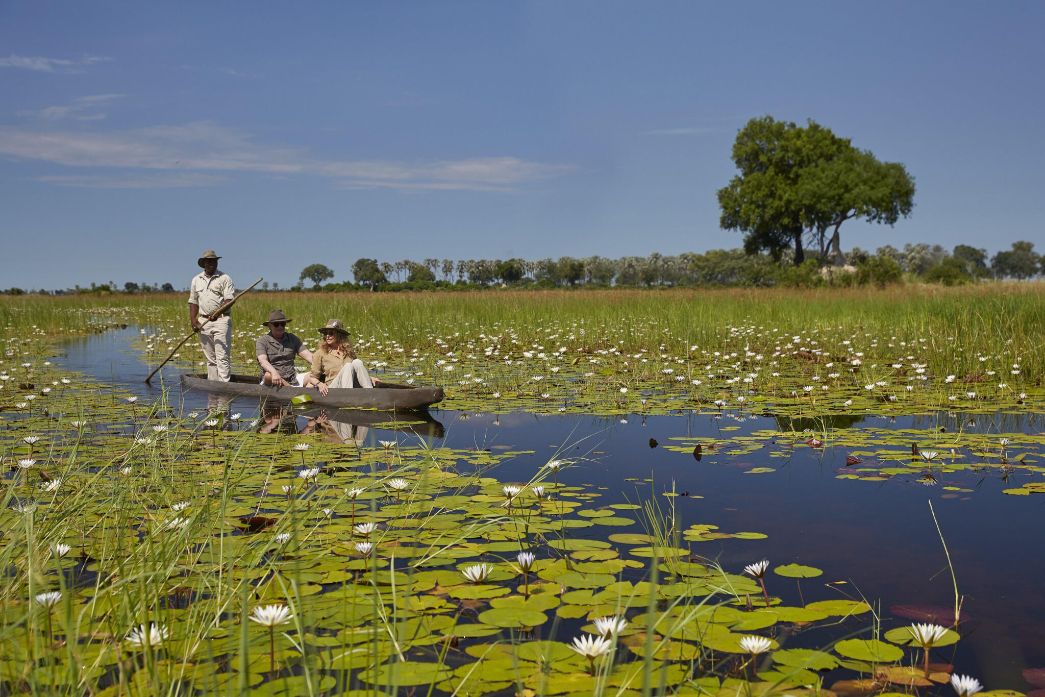 Guests glide by mokoro through a lily-covered Okavango Delta channel, poled by a local guide.