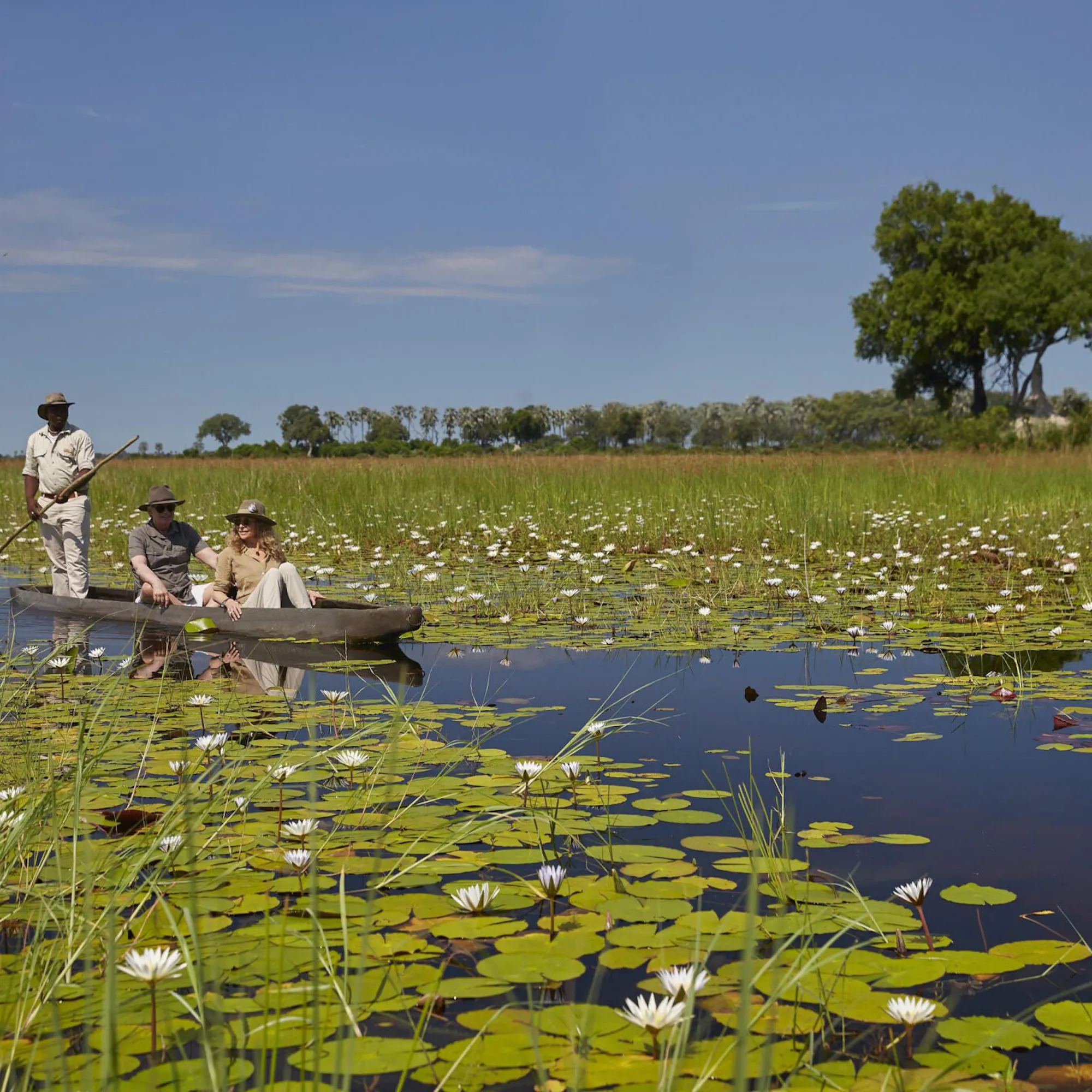 Guests glide by mokoro through a lily-covered Okavango Delta channel, poled by a local guide.