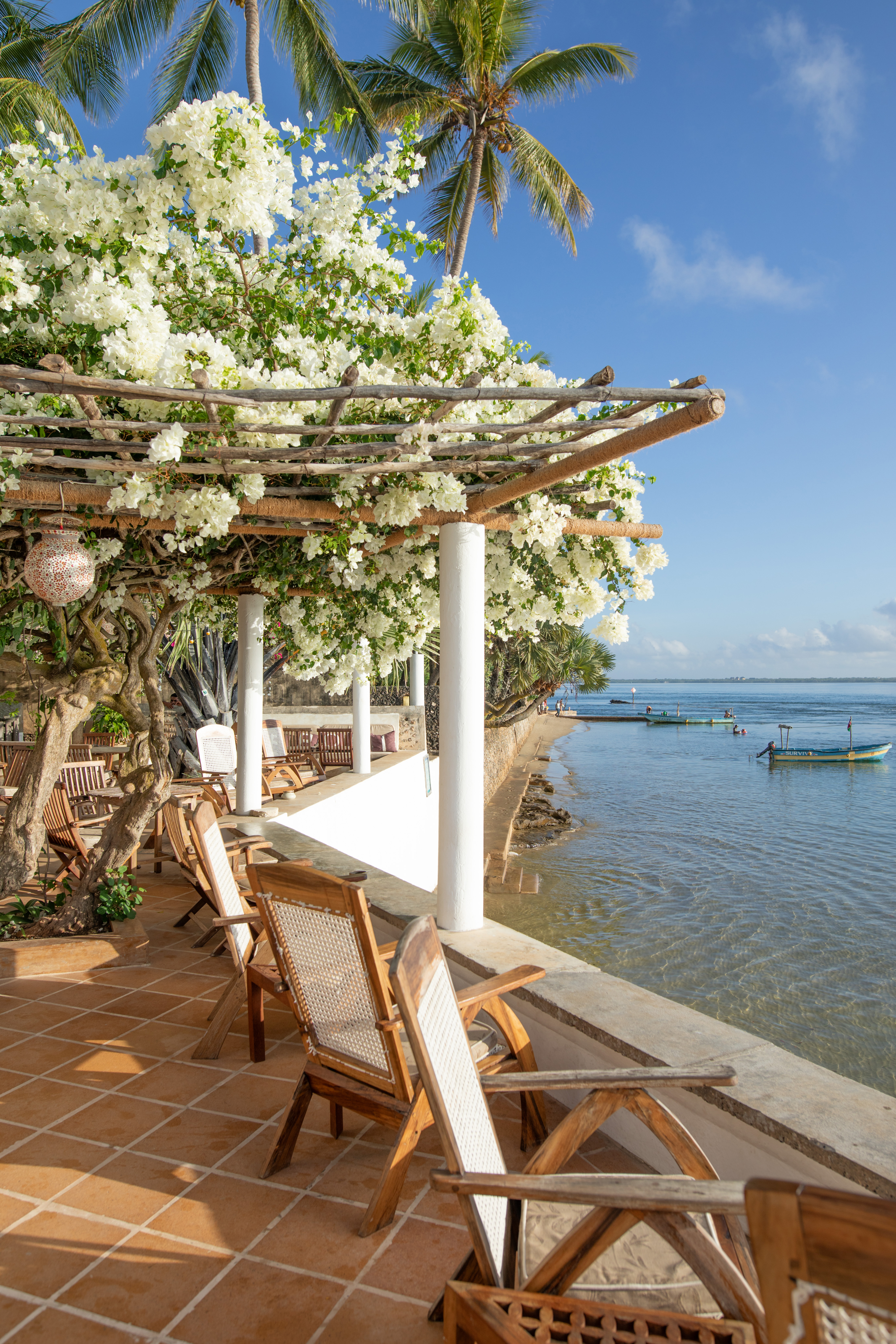 Bougainvillea-draped oceanfront terrace with wooden chairs, Lamu