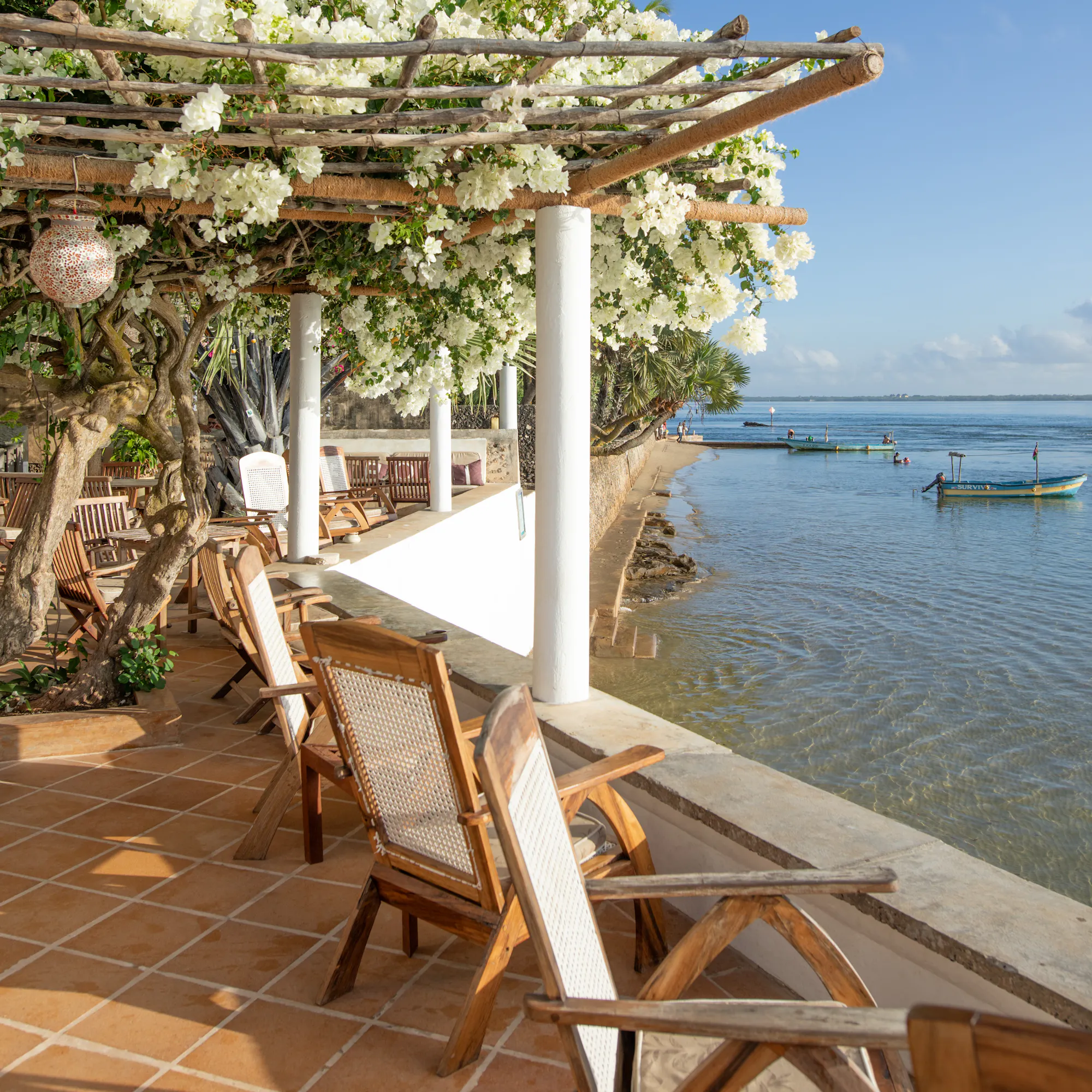 Bougainvillea-draped oceanfront terrace with wooden chairs, Lamu