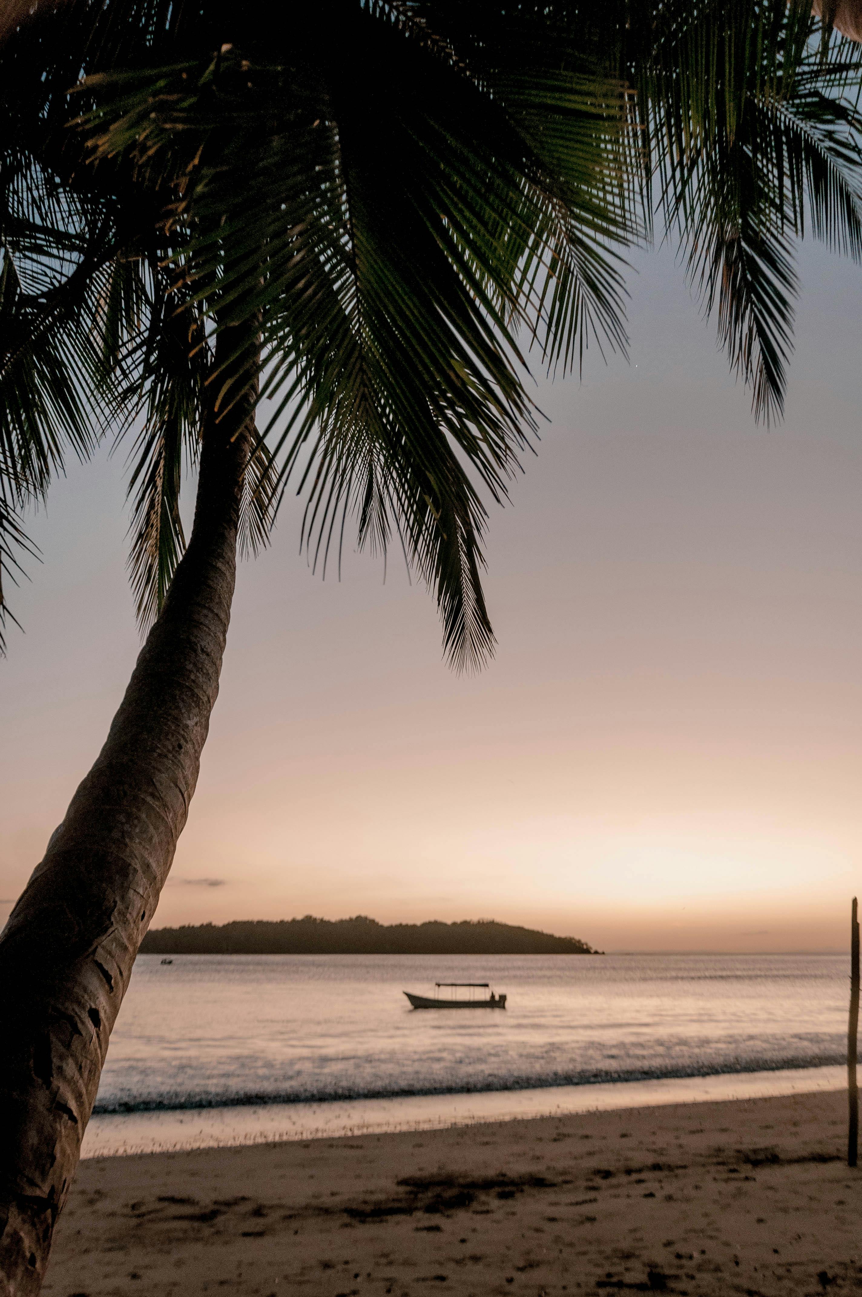 sunset in tropical beach with palm tree and boat in the background