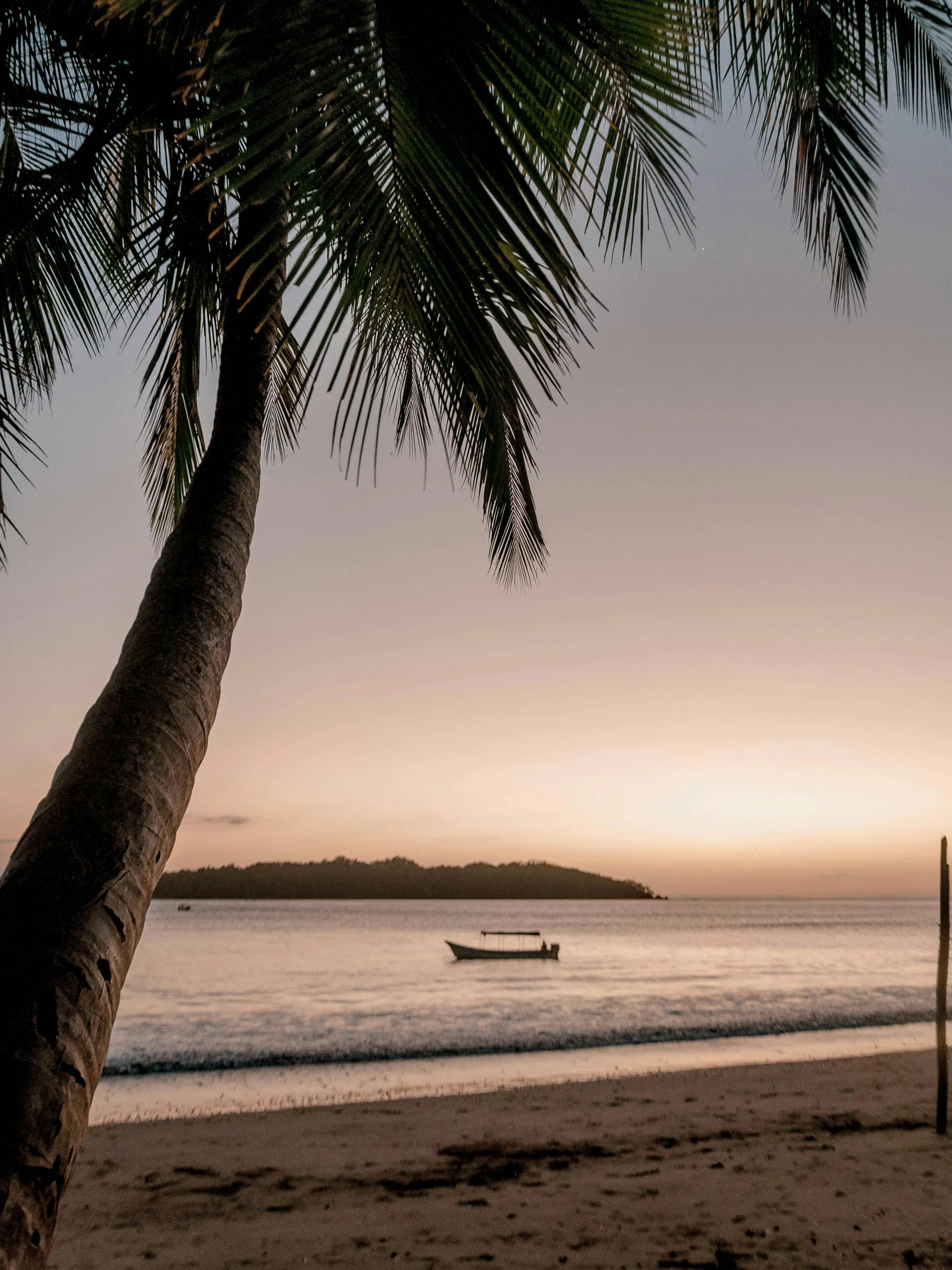 sunset in tropical beach with palm tree and boat in the background
