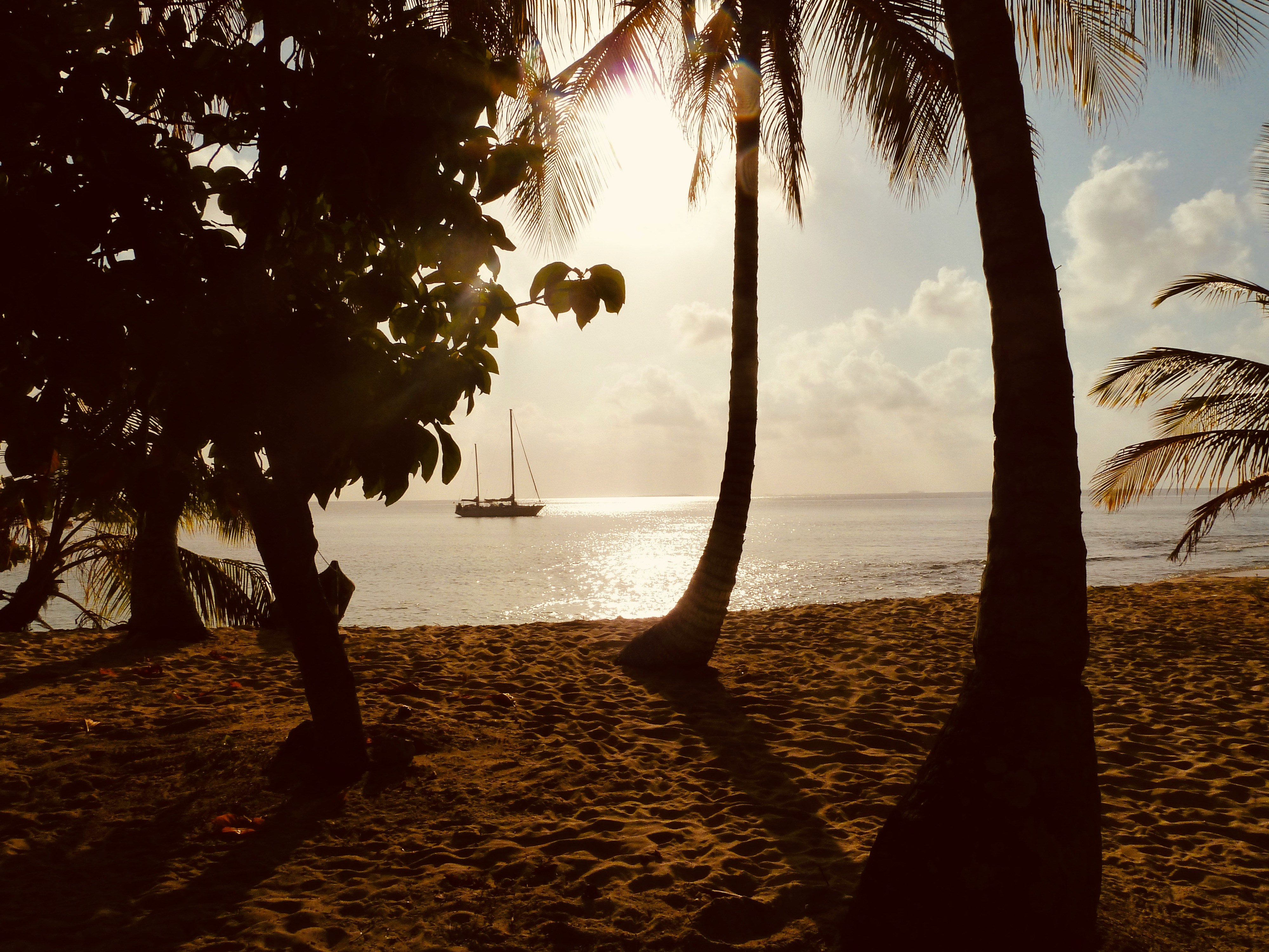 Sailboat anchored off a palm-lined beach at sunset in Guna Yala, Panama