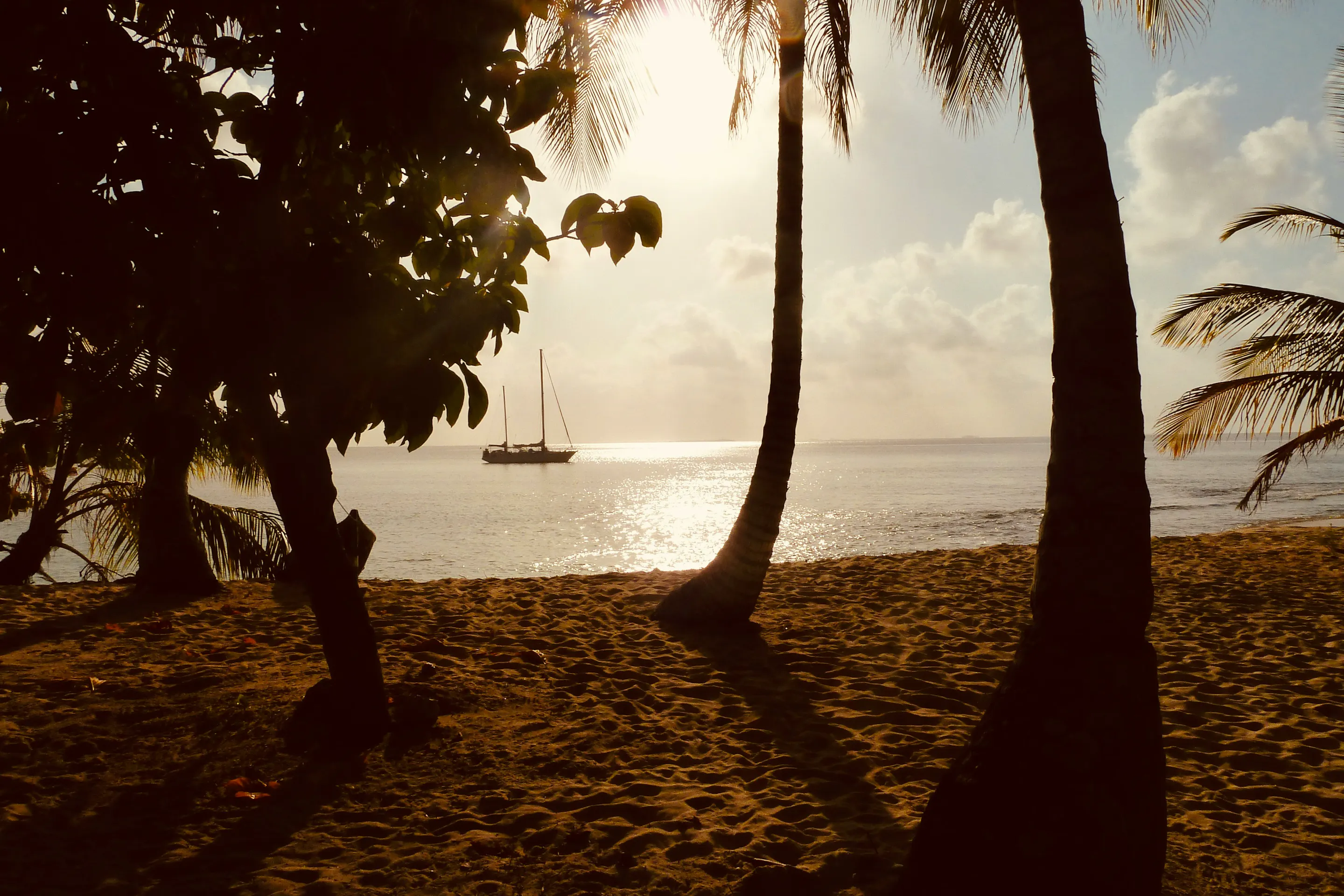 Sailboat anchored off a palm-lined beach at sunset in Guna Yala, Panama